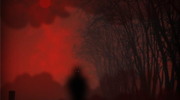 Why Does Nocturnal Fandango Do What They Do? – UPDATED Jason Davidson talks about Nocturnal Fandango's start