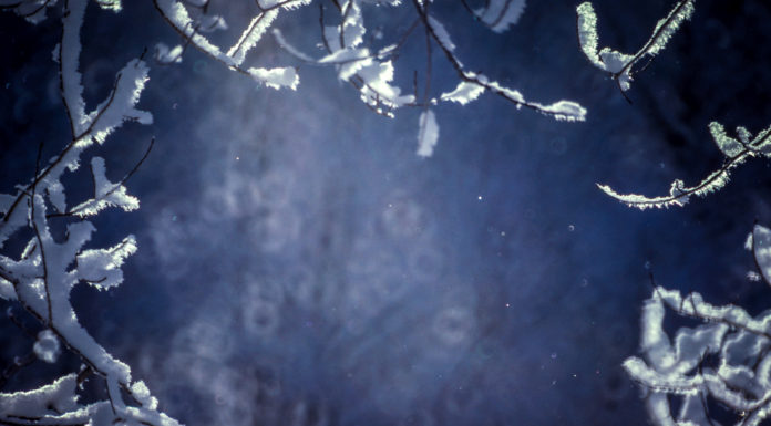 Jazz Best Bets for the Holidays Jazz Best Bets for the Holidays includes 9 performances and a week-long jazz festival