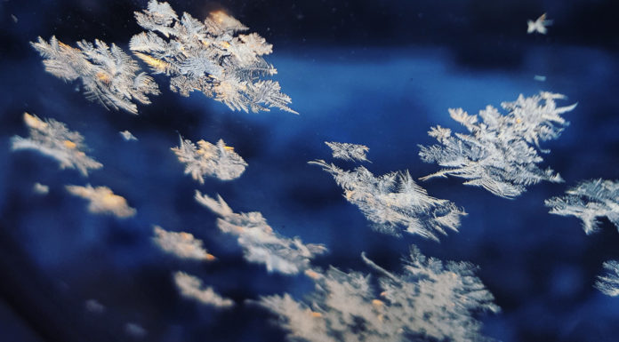 Dance Best Bets for the Holidays Dance Best Bets for the Holidays has eight different performances you can watch