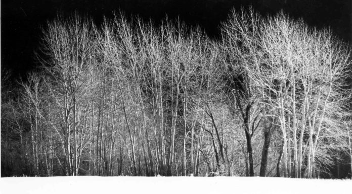 Classical Music Best Bets for the Holidays There are 12 Classical Music Best Bets for the Holidays from Cultural Attaché