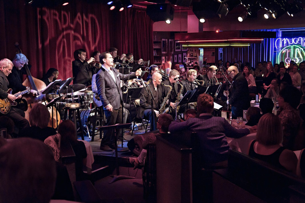 Cultural Attaché's Best Bets: January 22nd - January 24th is lead by Save Birdland on Sunday