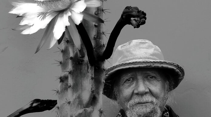 New In Music This Week: March 15th Cultural Attaché's New In Music This Week: March 15th is led by the latest album from Charles Lloyd