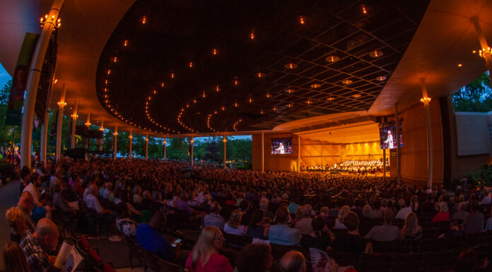 TOP 12 SHOWS TO SEE AT RAVINIA THIS SUMMER Cultural Attaché's Top 12 Concerts to see at Ravinia this summer are revealed