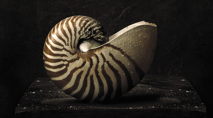 New In Music This Week: September 12th Cultural Attaché's New in Music This Week: September 12th includes six Hyperion vinyl releases and "Birds of Paradise" from Ember