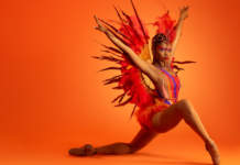 Best Bets: April 13th – April 19th Cultural Attaché's Best Bets: April 13th - April 19th includes Dance Theatre of Harlem's "Firebird"