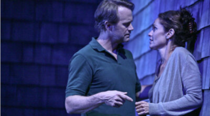 Playwright Gina Gionfriddo Talks ‘Rapture, Blister, Burn’ Cultural Attaché talks to playwright Gina Gionfriddo about "Rapture, Blister, Burn" at the Geffen Playhouse