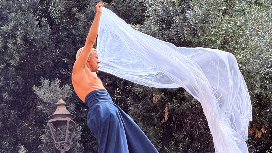 Cultural Attaché's Cervantino Journal #4 features five very different performances